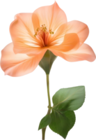 AI generated Peach color flower. Close-up glowing translucent peach color flower. png