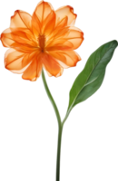 ai gerado laranja cor flor, fechar-se brilhando translúcido laranja cor flor. png