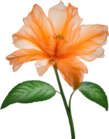 AI generated Orange color flower, Close-up glowing translucent orange color flower. png