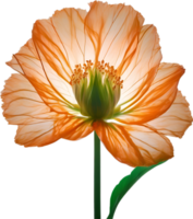 ai gerado laranja cor flor, fechar-se brilhando translúcido laranja cor flor. png