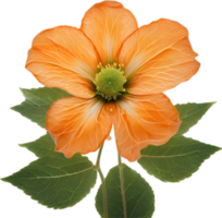 ai gerado laranja cor flor, fechar-se brilhando translúcido laranja cor flor. png