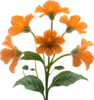 ai gerado laranja cor flor, fechar-se brilhando translúcido laranja cor flor. png