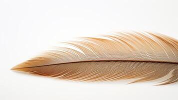 AI generated a close-up of golden-brown feather against a white background photo