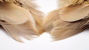 AI generated close-up view of soft brown feathers pattern against a white background. photo