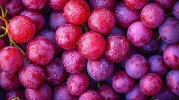 ai generado rojo uvas antecedentes. pulcramente arreglado racimos de rojo uvas, un artístico arreglo a realce el color y belleza. foto