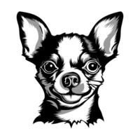 chihuahua perro vector ilustración