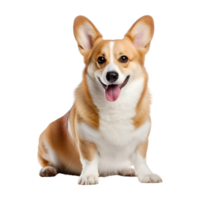 AI generated Playful Dog in Isolated Transparency generative AI png