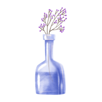 Branch with pink berries in a glass bottle. Bouquet in a vase. Hand drawn illustration on isolated background png