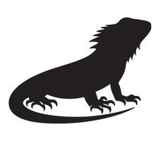 Agama lizard vector illustration on white background.