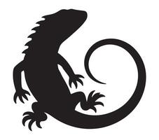 Vector graphic of agama lizard.