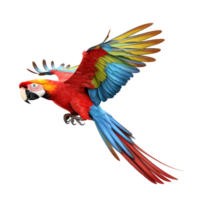 AI generated Generative AI Scarlet macaw on transparent background png