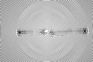 Concentric circle texture elements, spaced concentric circle pattern. vector