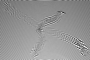 Diagonal lines, oblique, monochrome stripe lines pattern. vector