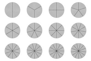 polar cuadrícula aislado, polar coordinar circular cuadrícula vector. vector