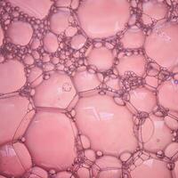 soap bubbles, pink abstract background photo