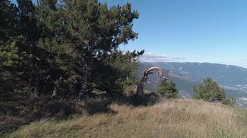 Berge Landschaft von Berge hügel. Schuss. malerisch Aussicht gegen Blau Himmel video