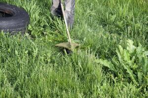 solicitud recortadoras. siega verde césped utilizando un pescar línea recortadora foto