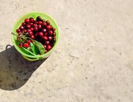 Cherries in a plastic green bucket. Ripe red sweet cherry photo