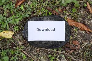 Download. A bad internet symbol. Low download speed. Slow internet. Ordinary river tortoise of temperate latitudes. The tortoise is an ancient reptile. photo