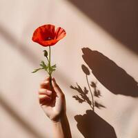 ai generado mujer mano participación un rojo amapola en frente de un pared foto