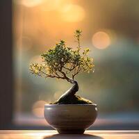 ai generado bonsai árbol en un minimalista planta de casa maceta foto