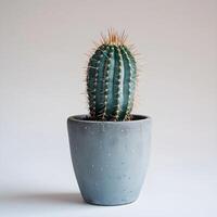 ai generado cactus en un minimalista planta de casa maceta foto