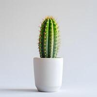 ai generado cactus en un minimalista planta de casa maceta foto