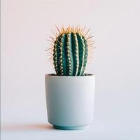 AI generated cactus in a minimalist houseplant pot photo