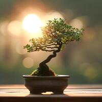 AI generated bonsai tree in a minimalist houseplant pot photo