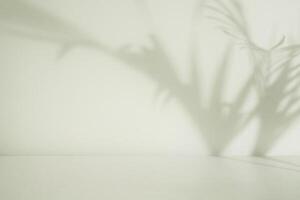 Minimalist empty room with palm leaf shadow photo