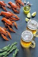 Boiled crayfish with two mugs of beer photo