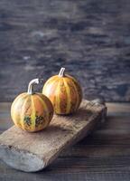 Ornamental pumpkins closeup photo