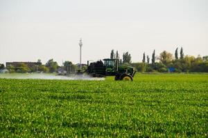 tractor con el ayuda de un rociador aerosoles líquido fertilizantes en joven trigo en el campo. foto