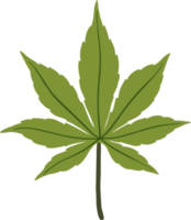 desenho à mão livre de folha de cannabis de simplicidade png