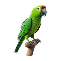 ai generado guacamayo loro aislado en transparente antecedentes png