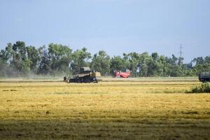 Combine harvesters. Agricultural machinery. photo