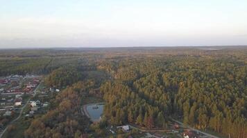 Aerial view of the pond in the forest, autumn time. Nature and landscape, aerial view of a forest and pond, autumn leaves, foliage, greenery and trees in a wilderness landscape video