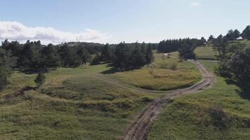 Picturesque path in the meadow between trees. Shot. Aerial of the wonderful countryside landscape video