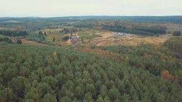 Wet and dirty country road near the forest with cars and lorries. Clip. Aerial view video