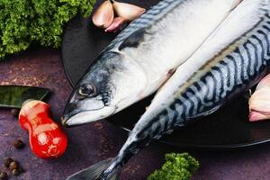 Fresh whole mackerel fish. photo