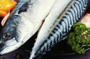 Raw mackerel fish, macro. photo