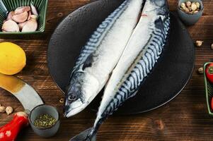 Raw mackerel fish on wooden background. photo