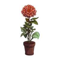 AI generated Set of colorful zinnia flowers in pots isolated on transparent background png