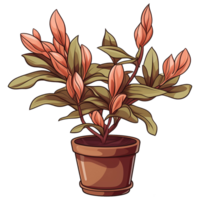 AI generated Azalea flowers in pots isolated on transparent background png