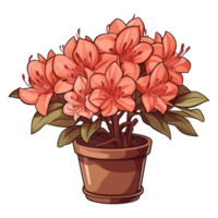 AI generated Azalea flowers in pots isolated on transparent background png