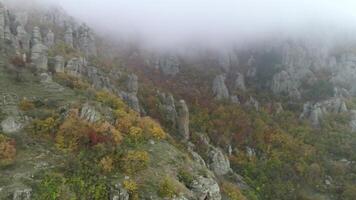 Mountain formations in evening fog. Shot. Beautiful view of a misty trees on a mountain range. video