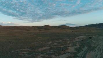 temprano Mañana nubes terminado un amplio campo. disparo. hermosa Mañana paisaje video