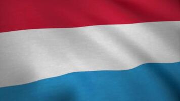 Nederland nationaal vlag. Nederland Nederlands vlag realistisch animatie golvend in de wind video