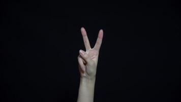 Close-up of hand showing victory sign. Isolated on black background. video