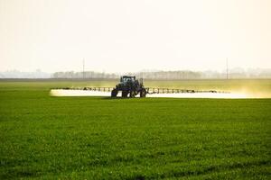 tractor con el ayuda de un rociador aerosoles líquido fertilizantes en joven trigo en el campo. foto